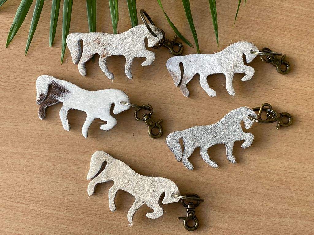 ขนสัตว์หลายแบบ