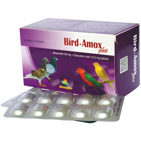 Treatment infections bacterias for Bird, Pigeon, Bird - Amox Plus