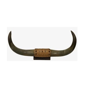 Corne décorative de buffle avec support et jante en acier corne décorative de meilleure qualité artisanale naturelle à vendre - Product Image 4