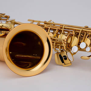 Deux Finitions Disponibles De Haute Qualité Taiwan Alto Saxo - Product Image 5