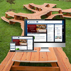 Open Source Development Services in India | Award Winning Open Source Software Development Services by Webroot Infosoft - Product Image 1