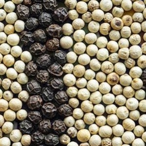 Pimienta Negra Premium de Vietnam, Grano Grande de 5 mm, 500GL 550GL, Pimienta Entera Seca, Suministro de Fábrica, Exportación al por Mayor - Product Image 1