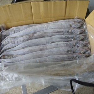 Paquete a granel certificado HACCP & ISO de 10kg de pescado de cinta congelado seco entero de alta calidad al por mayor precio bajo al por mayor - Product Image 1