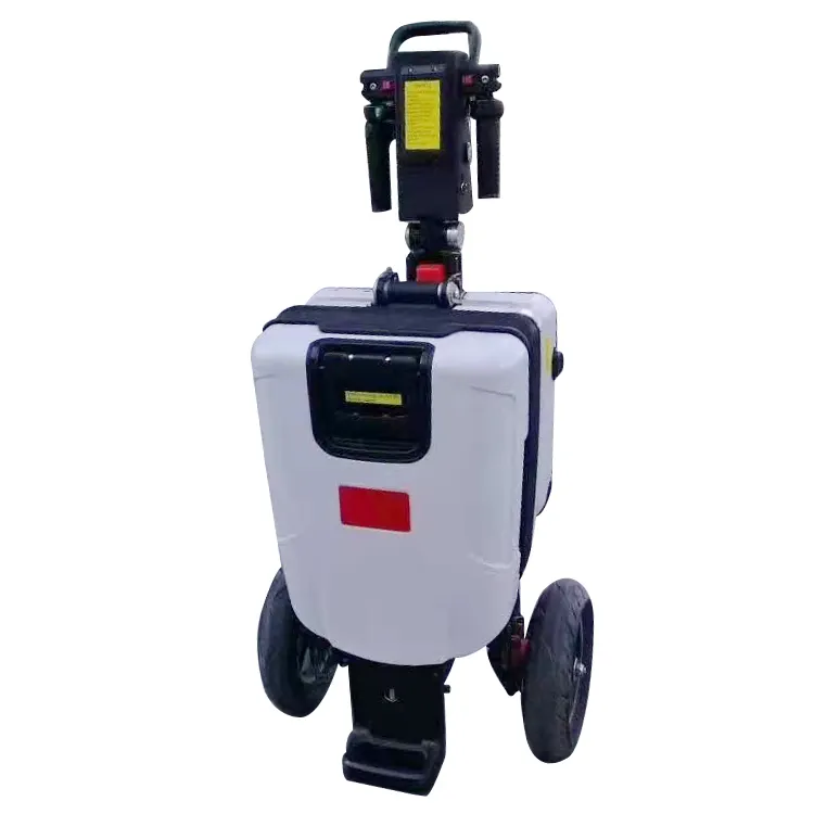 Foldable 3-Wheel Electric Box Scooter Three Wheel Scooter With Pedal New Ce 48V 120kg with 350w Motor 53*38*79cm
