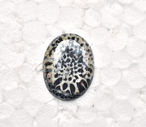 Stingray Coral Cabochon High Quality Black Coral Cabochon Loose Gemstones Stingray Beads Cabochon - Product Image 4