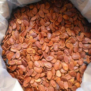 Best Price Agriculture Products Watermelon <b>Nuts</b> - Product Image 2