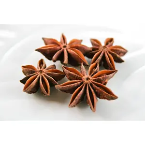 Hot Selling Natural Dried Star Anise/ Natural Spices With HIgh Quality