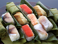 Meilleures ventes de feuilles de bambou brutes du Vietnam - Morceaux pour raviolis, sushis et sashimis
