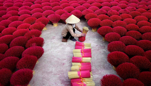 ไม้ไผ่ธูปเวียดนามไม้ไผ่ที่กำหนดเอง1.3มิลลิเมตรเวียดนามไม้ไผ่ดิบธูป // Ms.jasmine + 8434 666 0229 - Product Image 6