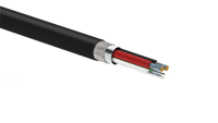 Nuevo Cable USB Tipo-C a Tipo-C 2.0 de 2 Metros con Estilo de Trenzado 2021, Conductor de Cobre Puro Extra Fuerte para Carga y Sincronización de Auriculares y Computadora