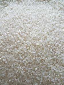 King calrose Japonica ข้าวนิ่มเม็ดสั้นทรงกลมนำเข้าจากเวียดนาม - Product Image 4