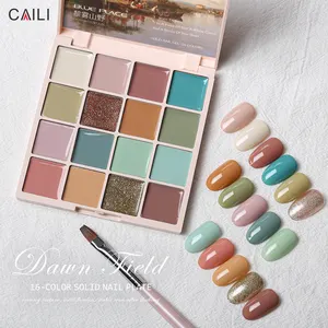 Wholesale Supplies Nail Art 16 Color Combination Pallettes Mud Solid Cream Pudding Uv Glitter Gel Nail Polish