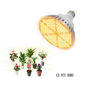 Kapalı LED bitki büyümek şerit ışıklar 5050 SMD 16.4ft su geçirmez şerit ışık ile 12V adaptör sera hidroponik için - Product Image 4