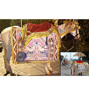 Tenue de cheval de mariage en coton, vêtement brodé à la main avec motif de paon, tenue de cheval pour mariage