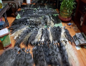Extensions de cheveux pour femmes vietnamiennes grises naturelles une queue une tête coupée sans produits chimiques sans colorant soyeux épais perruques de cheveux humains bruts - Product Image 3
