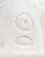 Empire des fourmis - Ferme à fourmis Medjay - Colonie - Maison - Design Sphinx - Boîte en plastique acrylique écologique classique - 14x8,5x8,5 cm - Toutes saisons