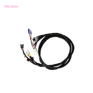 Ensemble de faisceau de câbles LVDS personnalisé pour l'affichage de l'automobile et du scooter électrique Câblage de qualité supérieure pour des performances optimales - Product Image 1
