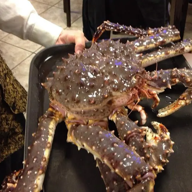 KING CRAB丸ごと生きているカニ卸売り用