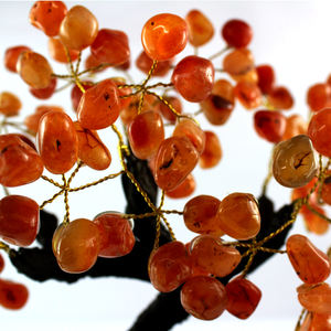 Colección de exhibición de árboles de piedras preciosas de cristal Natural brasileño - Product Image 2