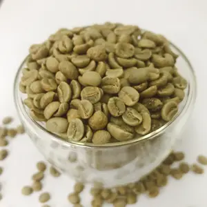 도매 고품질 arabica 녹색 커피 콩 베트남 2kg 준비 수출 낮은 주문 허용
