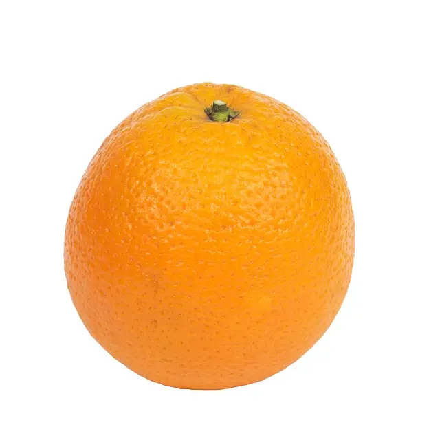 ताजा नारंगी 2020 खट्टे तैयार निर्यात प्रीमियम नई फसल