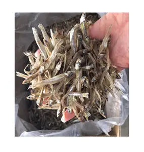 Vietnam Dry Anchovy魚Sprats Good品質よい価格Cheap Dried Anchovy Fish For Sale