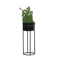 Support de pot de fleurs décoratif en fer noir thermolaqué, support pour plantes grimpantes, léger, pour usage intérieur/extérieur, écologique, pour jardin