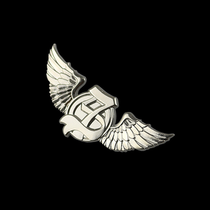 Bán Chạy Nhất New Hot Tùy Chỉnh Kim Loại Pilot Wings Pin Huy Hiệu/Airline Pilot Wings Huy Hiệu/Airline Pilot Wings Pin - Product Image 4
