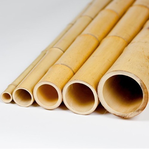 Good quality solid dried bamboo poles for gardening decoration and construction from Vietnam