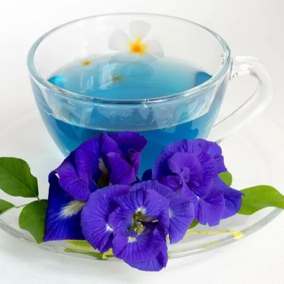 High Quality DRIED BUTTERFLY PEA FLOWERS 0084947900124