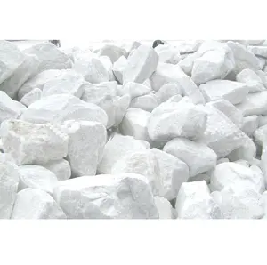 低价白石背景装饰批发覆层/越南白色石灰石