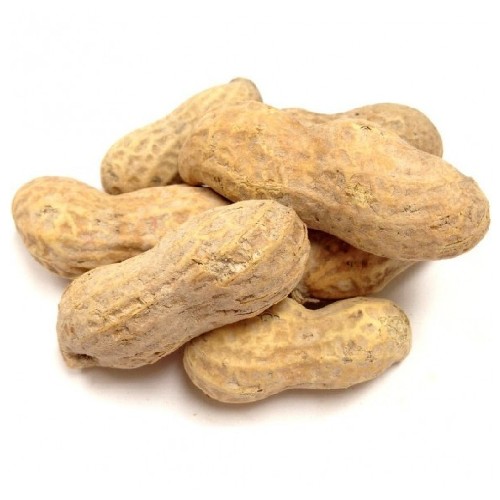 арахис в скорлупе 1 шт. арахис тип. орешки в скорлупе. ядро арахиса. арахис тип.