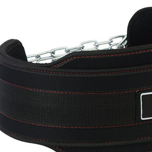 <b>Heavy</b> <b>Duty</b> Comfortable Weightlifting Dip steel <b>chain</b> Belt for Dips and Pull Ups dipping belt With Neoprene Padding - Product Image 6