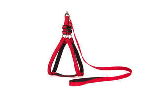 Casa de Madera para Pájaros Flip YA-018, Dos Pisos, Diseño Animal, Mediana, 15x13x15cm - Product Image 3