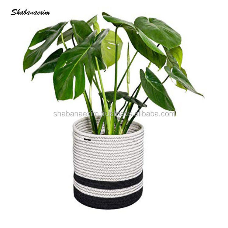 ตามใบสั่งซื้อ