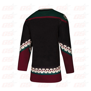 Camiseta de Hockey sobre hielo de alta calidad, uniforme de Jersey sublimado - Product Image 2