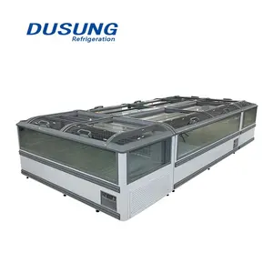 Dusung impianti di refrigerazione supermercato congelatore blast freezer prezzo display freezer per il supermercato