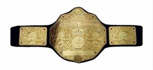Cinturón de campeonato de lucha de peso pesado mundial, producto de calidad, WBC MMA - Product Image 6