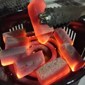 Hookah Carcoal Briquette