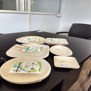 Vajilla desechable de hoja de Areca ecológica Natural 100%, Platos y platos con patrón de plantas grabados a mano para acampar - Product Image 1