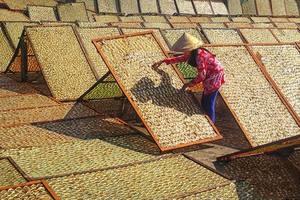 Pescado amarillo deshidratado, TOP 2021, Scad/MR.ShinCA (+ 84) 378398089 - Product Image 2