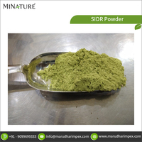 Poudre à base de plantes SIDR, 100% Pure et naturelle, meilleure qualité, vente en gros, vente en gros, prix d'usine