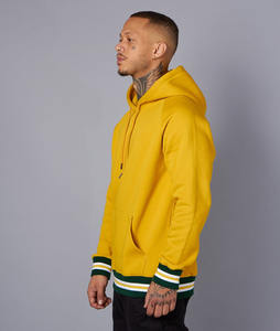 OEM broderie imprimée à manches longues sweat à capuche automne et hiver personnalisé mens grande taille sport logo personnalisé - Product Image 3