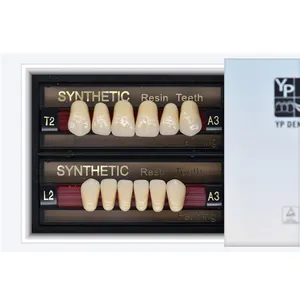 Dentiers en acrylique durs, produit dentaire d'usine, 2 couches, dents en solde