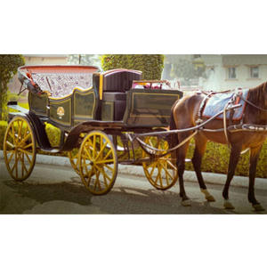 Fabricant britannique de chariots de tourisme tirés par des chevaux Conception moderne de chariots de tourisme à chevaux Australie Black Touring Horse Carriage - Product Image 1