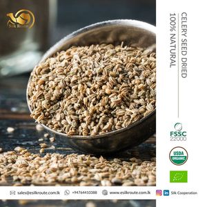 Hạt Giống Cần Tây Khô Các Loại Thảo Mộc Tươi Mới Nhất Hàng Mới Về Bán Trực Tiếp Từ Nhà Máy - Product Image 2