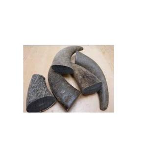 Real Horn <b>Small</b> Tips and Unpolished Tips and Different Cheap Price Horn Tips Wholesale Natural Craft - Product Image 2