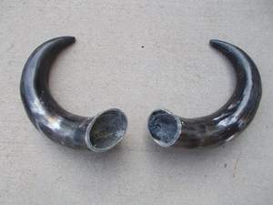 Par de Cuernos de Búfalo Naturales Antiguos, Par de Cuernos de Vaca, Superventas, Decoración para Hoteles, Mejor Diseño para Producto Popular - Product Image 6