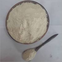 Lot de 10lb d'ail biologique lyophilisé, légume déshydraté de haute qualité pour la cuisson, leader mondial