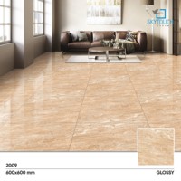 Carreaux de sol en granit vitrifié brun foncé Honduras poli 600x600mm, tous types, fabriqués en Inde par SKYTOUCH 2245